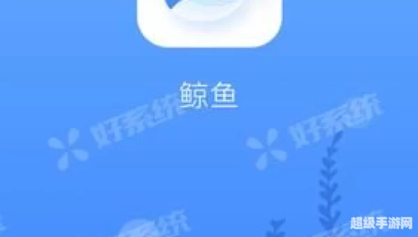 鲸鱼加速器