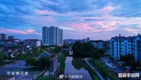 丹阳翼网