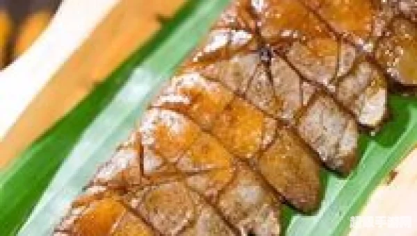 嫩鳄鱼肉