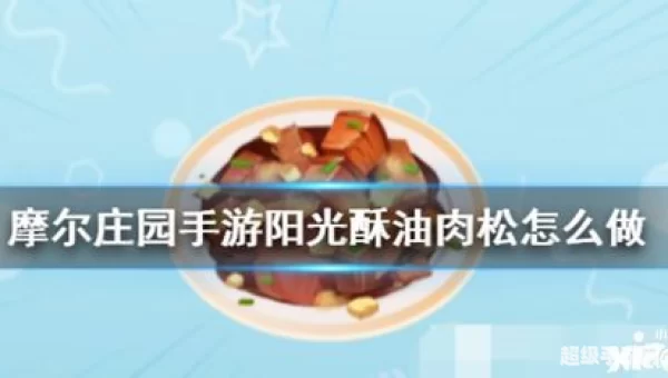摩尔庄园阳光酥油肉松